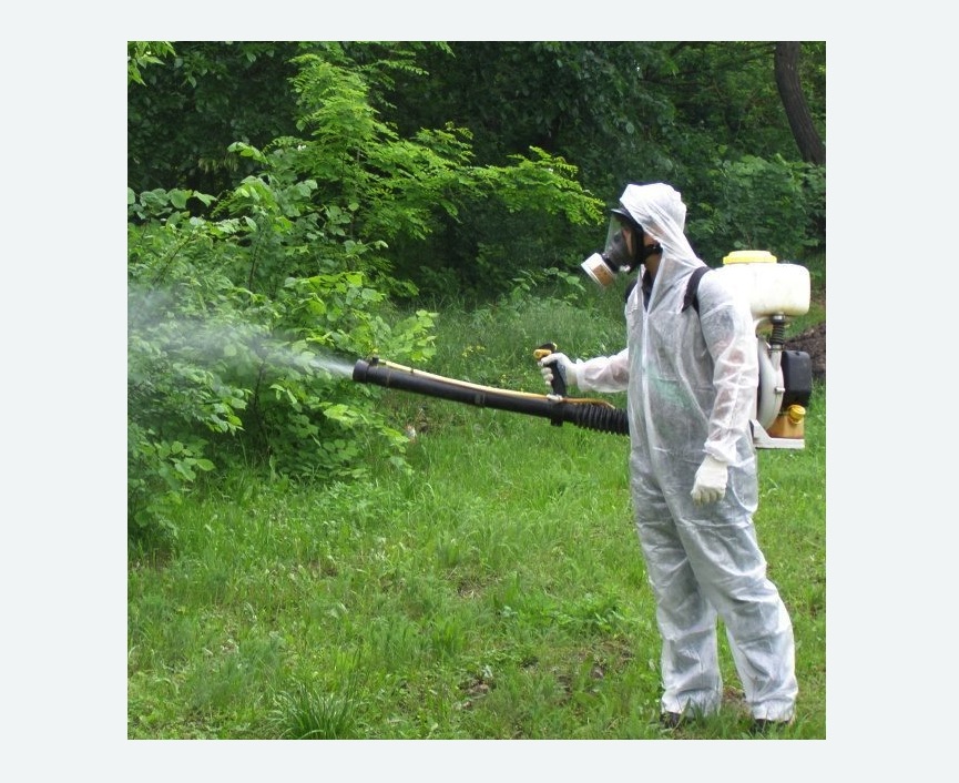 обработка территории от клещей в Немане