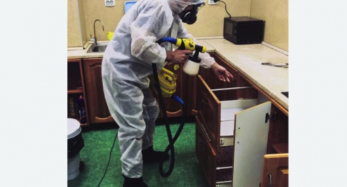 Уничтожение насекомых в квартире. Неман