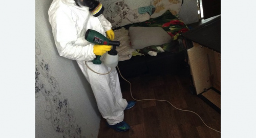 Обработка квартир от насекомых в Немане