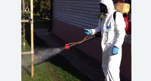 Уничтожение клещей на участке в Немане