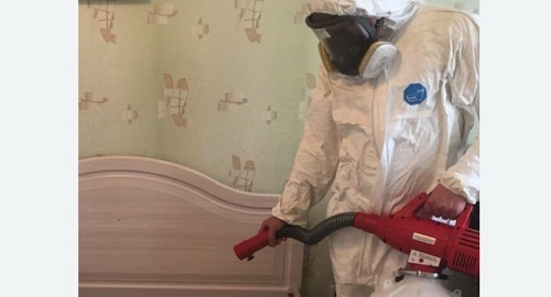 Уничтожение клещей в квартире. Неман