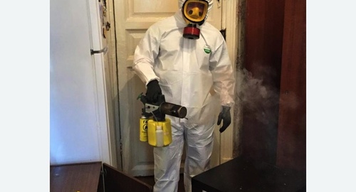 Дезинфекция от муравьев в квартире в Немане