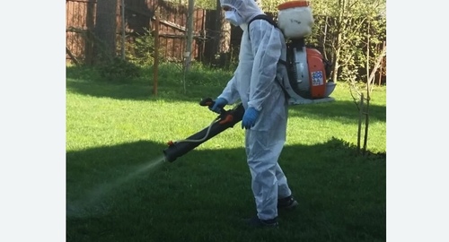 Обработка участка от клещей в Немане