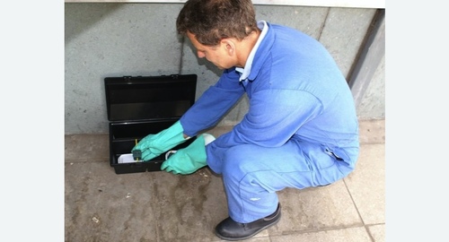 Уничтожение мышей. Неман