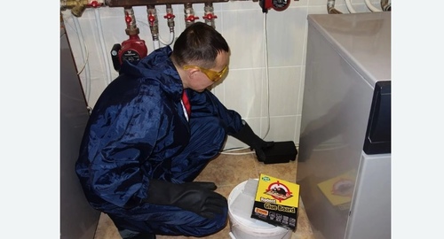 Дератизация крыс. Неман