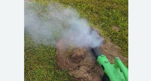 Обработка от кротов в Немане