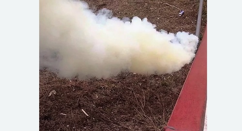 Уничтожение кротов на участке в Немане