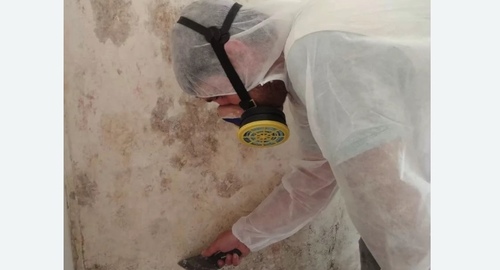 Обработка стен от плесени в Немане