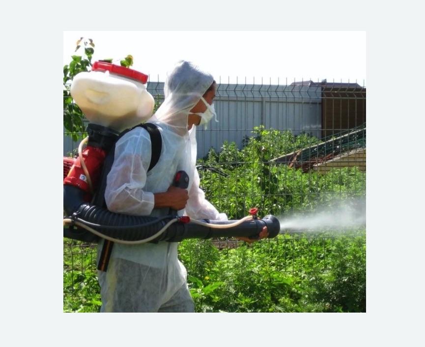 Акарицидная обработка территории в Немане