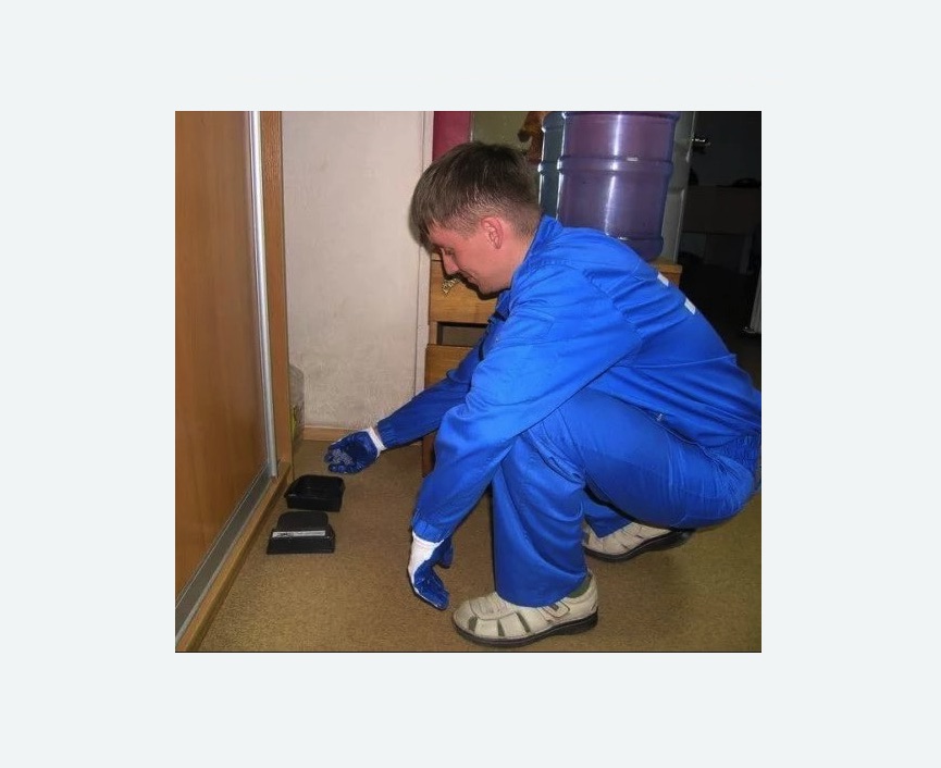 Дератизация крыс в Немане