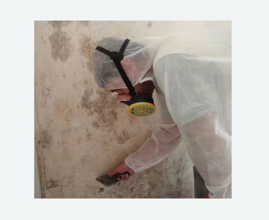 Обработка стен от плесени Обработка стен от плесени в Немане