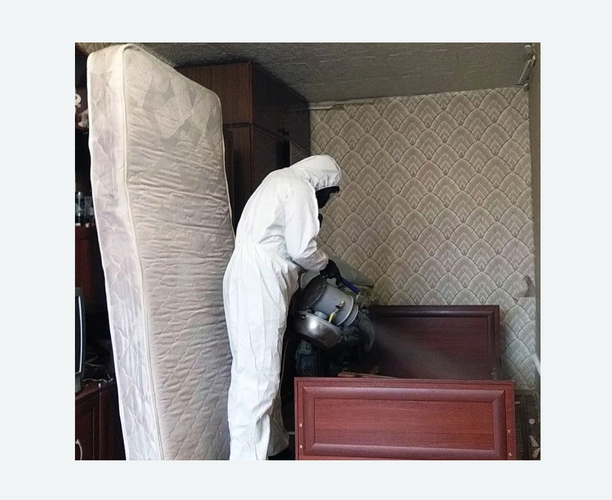 дезинфекция от клопов в Немане