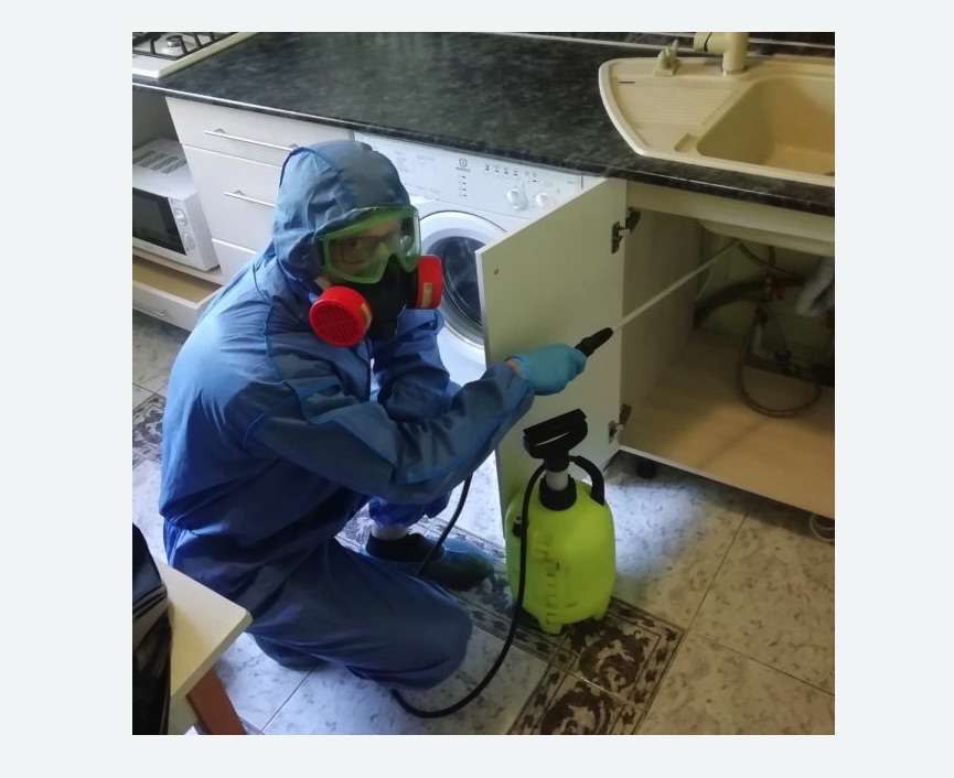 обработка от муравьев в квартире в Немане