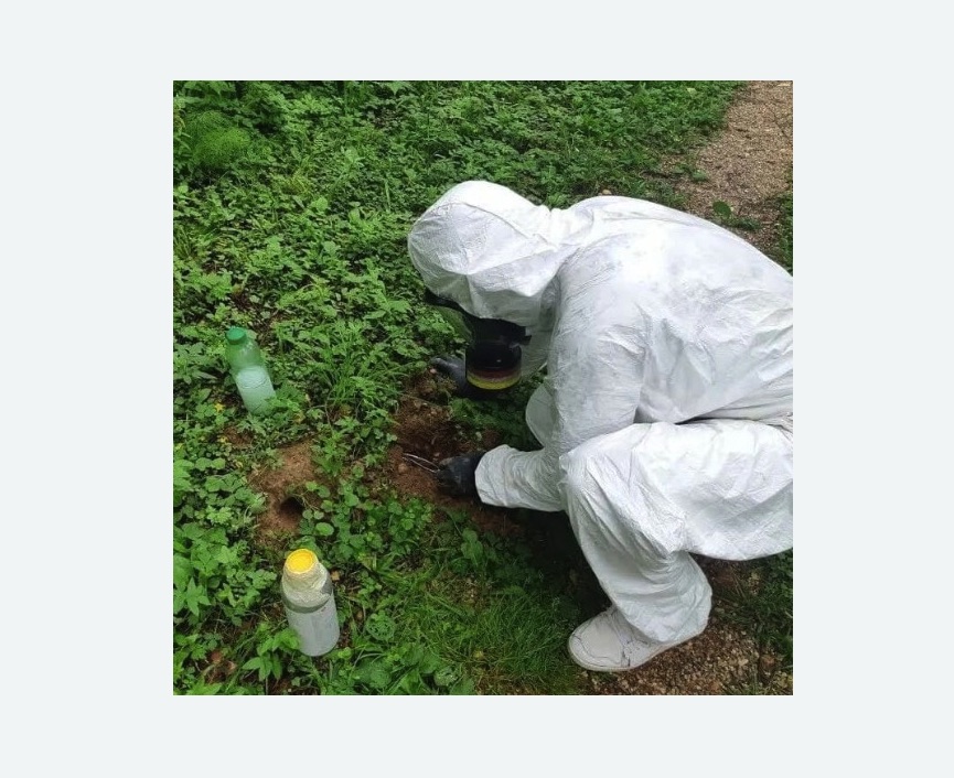 уничтожение кротов на участке в Немане