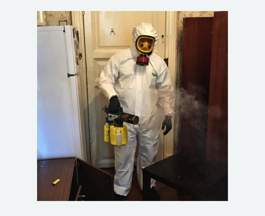 уничтожение муравьев в квартире в Немане